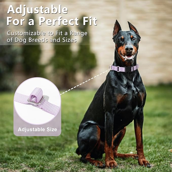 Rttochfy Martingale Dog Collars, Adjustable Nylon Dog Collar with Quick Release Buckle, No Choke Dog Training Collar for Small Medium Large Dogs (Blue, S)