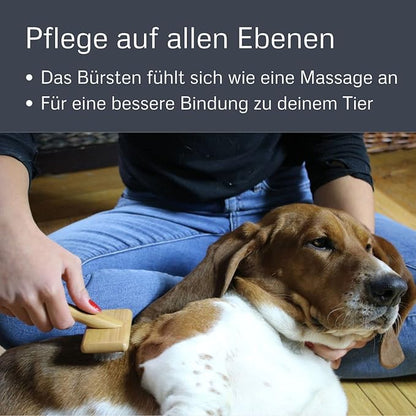 alcott Bamboo Groom Slicker Brush with Stainless Steel Pins for Pets, Medium,Brown