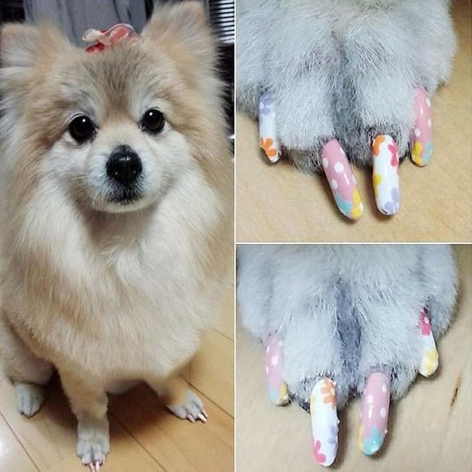 Dog Nail Polish Pen, 12 Colors Pet Nail Polish Set to DIY Beautiful Dog Nails Ideas Dog Nail Polish Pens Quick Dry Creative Dog Accessories Nail Polish Pens.