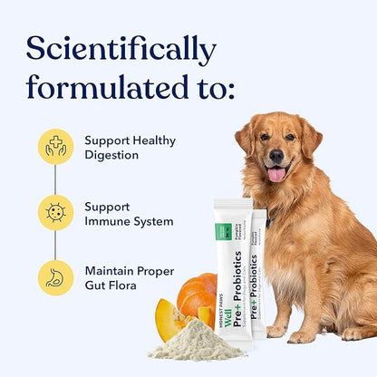 Honest Paws Probiotics for Dogs - Dog Digestion Gut Health Probiotic Powder with Prebiotic Made in The USA, Digestive and Immune Support - Digestive Enzymes with Pumpkin Flavor (30 Sticks)