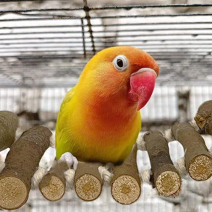 SIMENA Bird Cage Ladder, Parrot Bridge Made of Natural Wood and Rope, Interactive Bird Toy for Small and Medium Sized Birds and Parrots, Parakeets, Cockatiels, Amazon Parrots, Conures etc.