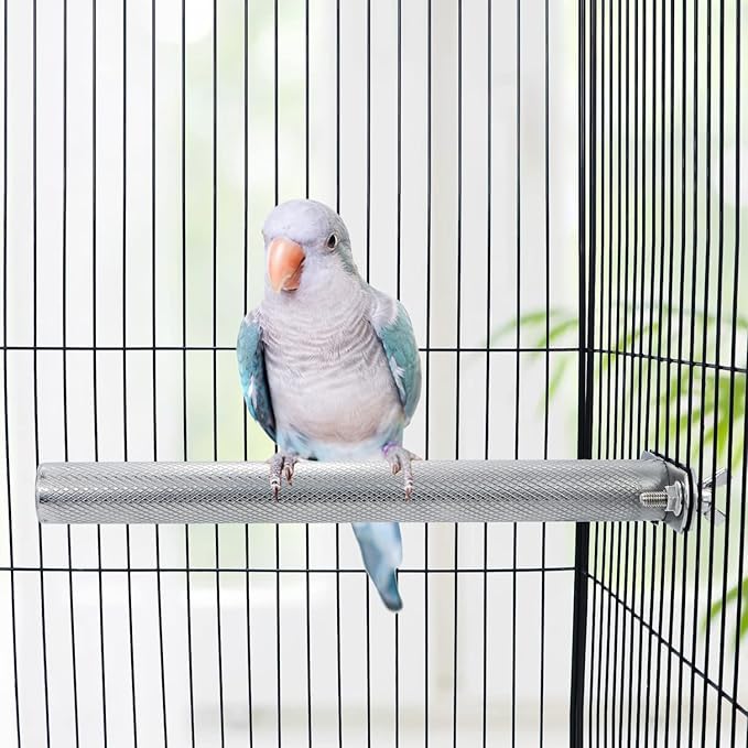 Wontee Bird Perch Stand Stainless Steel Parrot Cage Perch Accessories for Parakeets Cockatiels Conures African Greys Macaws Amazon Parrots (M (9.8"x1")