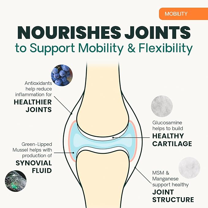 VetriScience Extra Strength Healthy Hip & Joint Chews, GlycoFlex Glucosamine & Green-Lipped Mussel Support Supplement for Dogs, Promote Mobility & Soothe Joint Discomfort, Chicken, 3 Pack