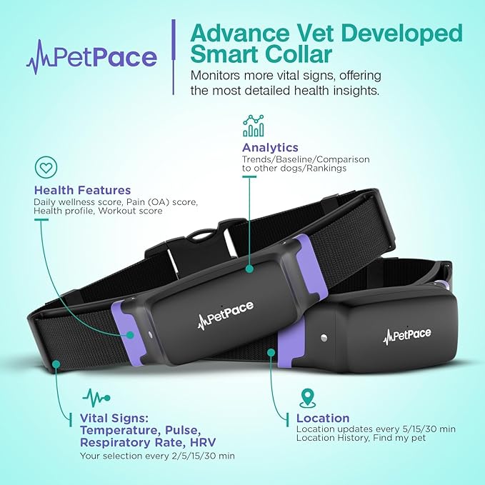AI Health Monitor & GPS Tracker for Dogs | Track Heart Rate, Pain, Anxiety & Stress | Vet Backed, Near Real-Time Alerts & Monitoring | Subscription Required | PetPace Smart Collar 2.0 (Medium)