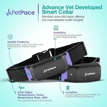 AI Health Monitor & GPS Tracker for Dogs | Track Heart Rate, Pain, Anxiety & Stress | Vet Backed, Near Real-Time Alerts & Monitoring | Subscription Required | PetPace Smart Collar 2.0 (Large)