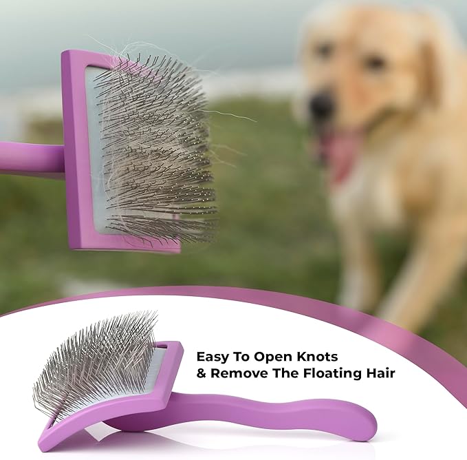 Slicker Brush for Dogs - Detangling Dog Brushes for Grooming with Soft Bristles & long Pins - Professional Cat Deshedding Tool to Removes Tangles & Dirt (Medium)