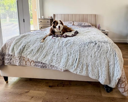 PJYuCien Large Dog Blanket, Reversible Fleece Sherpa Blankets, Soft Plush Pet Throw for XL Dogs, Washable Cozy Furniture Protector for Couch/Bed, 80" x 60", Grey