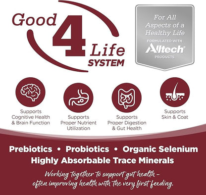 NutriSource Dry Dog Food, Beef and Rice, 4LB