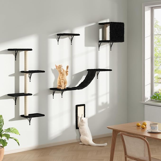 Cat Wall Shelves, Wall Mounted Cat Furniture, Cat Wall Climber with Bridge, Perches, Ledges and Beds, Kitty Jungle Gym for Wall, Set of 5 (Black)