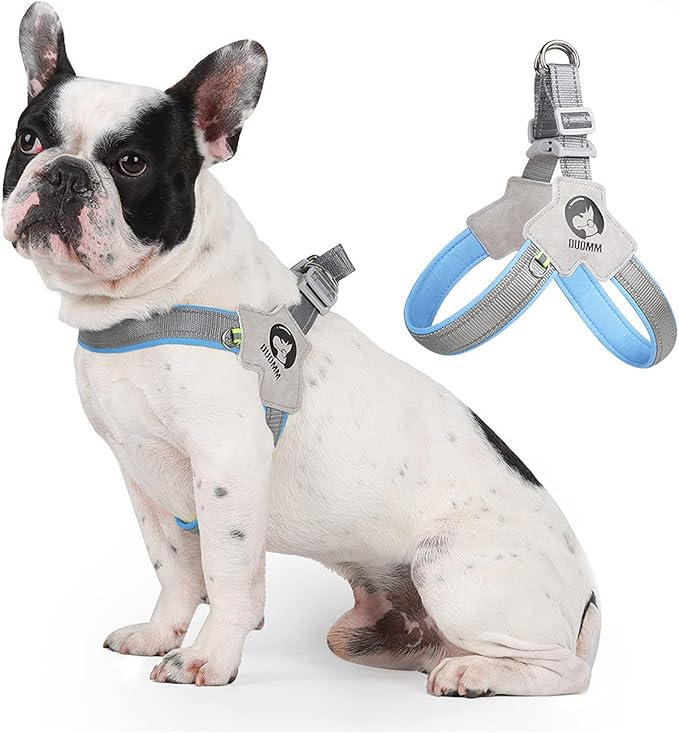 Dog Harness Y-Shaped Harness Breathable Heat Dissipation Easy to Wear Night Reflective Signs for Small and Large Dogs to Wear (Blue,S Bust 13in-18in)