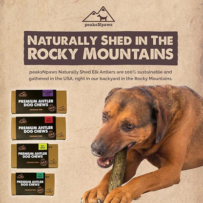 Premium Split Elk Antlers for Dogs, Dog Treats Large Breed, Made in USA, Natural Dog Chews for Aggressive Chewers, Long Lasting Pet Treat for Dogs Under 80 lbs, 2 Large/XL Antler Pack