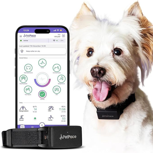 AI Health Monitor & GPS Tracker for Dogs | Track Heart Rate, Pain, Anxiety & Stress | Vet Backed, Near Real-Time Alerts & Monitoring | Subscription Required | PetPace Smart Collar 2.0 (Small)