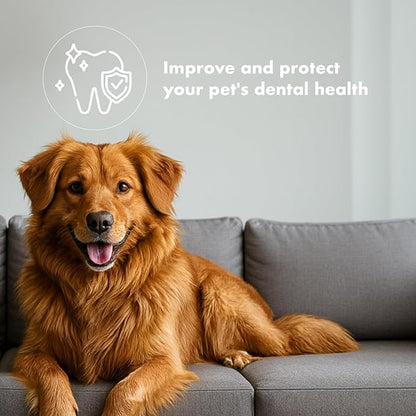 King Lou Duck Feet for Dog and Cat Treats – Dehydrated Single Ingredient Whole Duck Feet – Crunchy Chews for Pets – Protein-Rich Snack – 120 Count