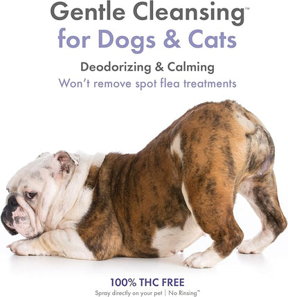 Petkin Hemp Waterless Dog Shampoo Spray  with Hemp Oil & Calming Lavender Extract, 8 fl oz  for Cats and Dogs  Soothes, Calms & Conditions, Keeps Pet Smelling Great  for Home and Travel