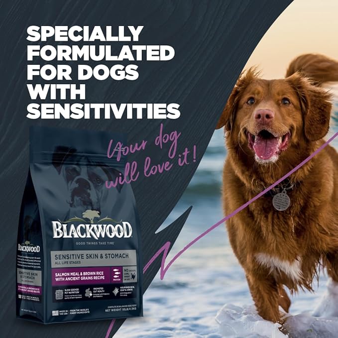 Blackwood Sensitive Skin & Stomach Dry Dog Food, Salmon Meal & Brown Rice with Ancient Grains, 24 Pound Bag with Prebiotics & Probiotics to Promote Gut Health