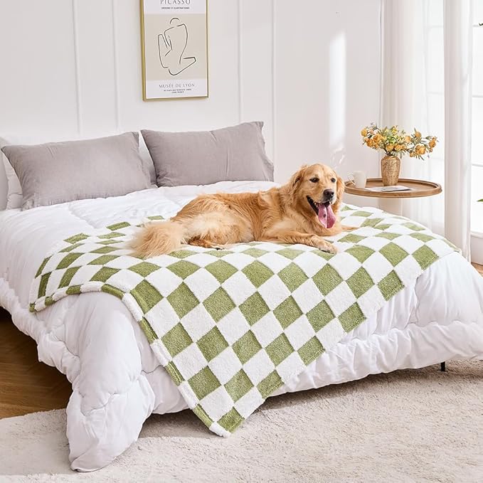 Qeils Jacquard Dog Blankets for Large Dogs, Cozy Calming Pet Blanket Washable for Couch Protection, 280GSM Coral Fleece Plush Fluffy Throw Blanket, Sage Green Checkered, 50x60IN