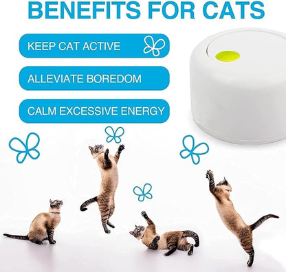 ALL FOR PAWS Interactives Cat Teaser Toy Flutter Bug Cat Wand Toy Fun Playing Toys Kitten Toys with Shiny Butterfly