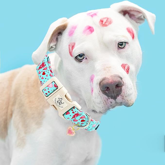 Elegant little tail Valentine's Day Dog Collar-Cute Pink Heart Dog Collar for Small Dogs, Female or Male Adjustable Cotton Pet Collar with Quick Release Buckle for Small Medium Large Dogs