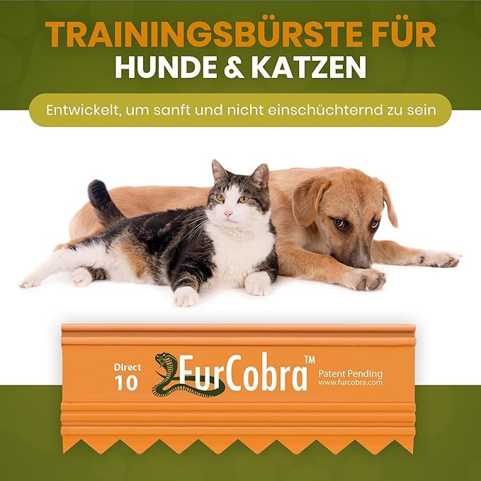 Direct 10 Pet Grooming Brush 3.54" - Gentle, No Metal Blades, Soft Dog, Cat Brush - Train Pets to be Brushed - Portable, Easy To Use Slicker Pet Grooming Tool for Dog, Cat, Puppy, Kitten Hair