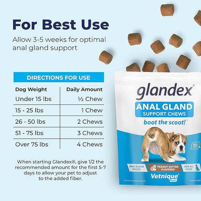 Glandex Anal Gland Soft Chew Treats with Pumpkin for Dogs Digestive Enzymes, Probiotics Fiber Supplement for Dogs Boot The Scoot (Peanut Butter Chews, 30ct)