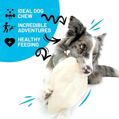 Sitka Farms Whole Cow Ears for Dogs 5 Count - Premium Rawhide Free Dog Chews - Beef Natural Dog Treats for Smal, Medium and Large Dogs - Long Lasting - Rich Protein for Your Pet