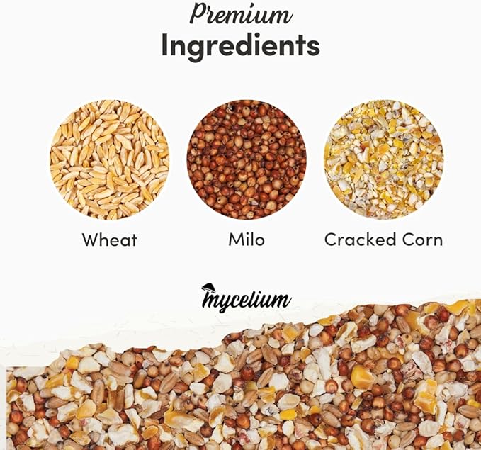 Mycelium Premium Poultry Scratch | Bird Food for Chickens, Quails & Game Birds | Organic, Non-GMO Seed Treat with Corn, Wheat & Milo | Supports Natural Foraging & Digestion | Made in USA, 5 lb Bag