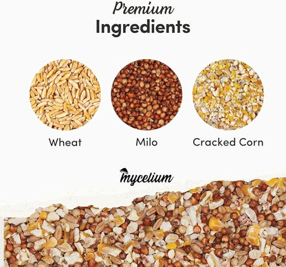 Mycelium Premium Poultry Scratch | Bird Food for Chickens, Quails & Game Birds | Organic, Non-GMO Seed Treat with Corn, Wheat & Milo | Supports Natural Foraging & Digestion | Made in USA, 5 lb Bag