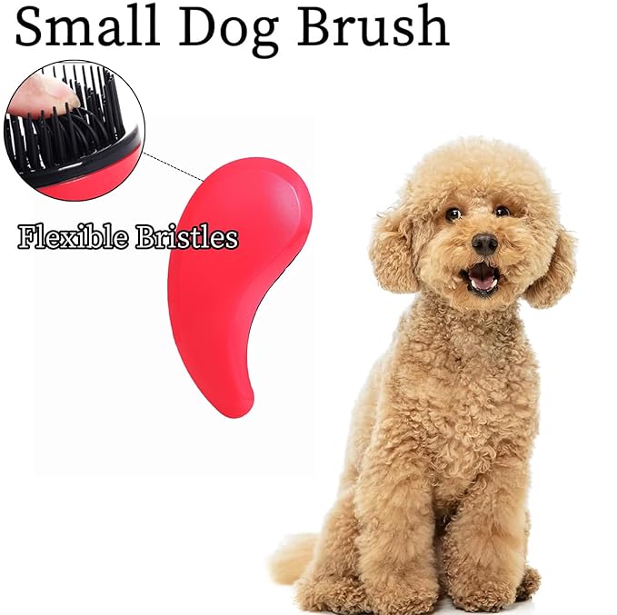 Small Dog Brush - Puppy Hair Brush- Grooming Tool for Teddy, Yorkies, Maltese, Shih Tzu, Chihuahua (Rose Red)