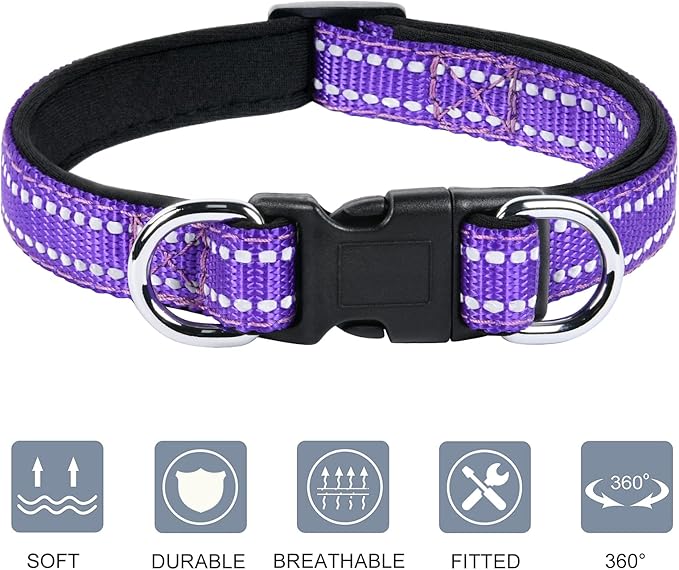 AUAUY Reflective Nylon Dog Collars, Adjustable Classic Pet Collars with Soft Neoprene Padding, Double Security Dual D-Ring and Quick Release Buckle for Small Puppy, Medium and Large Dogs (Purple-S)