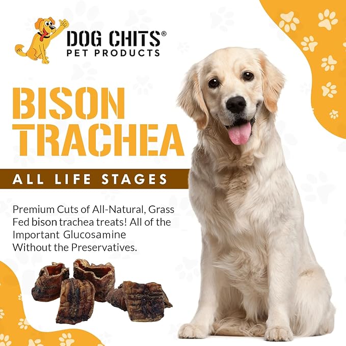 Dog Chits Bison Trachea for Dogs - Dog and Puppy Chews | Amazing for Joints | 8 oz. Bag | Made in USA | All-Natural Treats | Large and Small Dogs | Nothing Added | Zero Odor