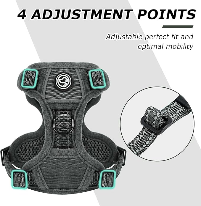 Dog Harness Small Sized Dog, No Pull Pet Harness with 2 Leash Clips, Adjustable Soft Padded Dog Vest Harnesses, Reflective No-Choke Pet Oxford Vest