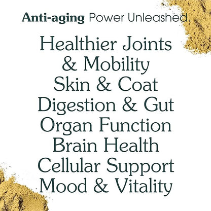 Adult Dog Powder Supplement & Food Topper  46 Ingredients for Gut, Immune & Brain Health  Daily Longevity Multivitamin for Whole Body Wellness | 60 Scoops