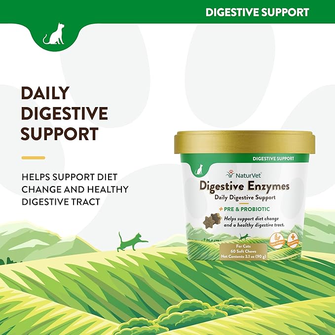 NaturVet  Digestive Enzymes for Cats Plus Probiotics  60 Soft Chews  Helps Support Diet Change & A Healthy Digestive Tract  Aids in The Absorption of Vitamins & Minerals  30 Day Supply
