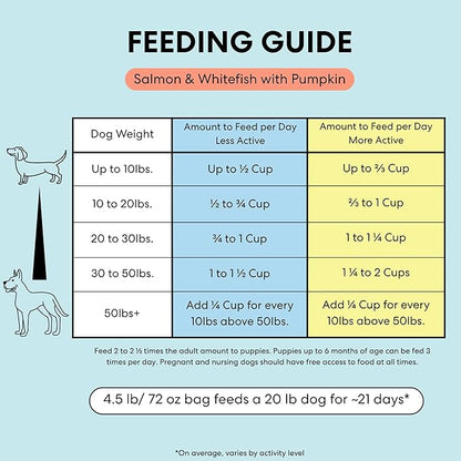The Pets Table Salmon & Whitefish with Pumpkin Grain Free Air Dried Dog Food, 3 lb / 48 oz Bag