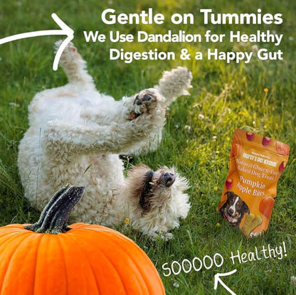 Marcy's Pet Kitchen- All Natural, Crunchy, Pumpkin Biscuit Dog Treats - Homemade - Crunchy Approved- Vegan, Gluten Free, Human Grade Ingredients, Made in The USA, Healthy Pumpkin Dog Treats