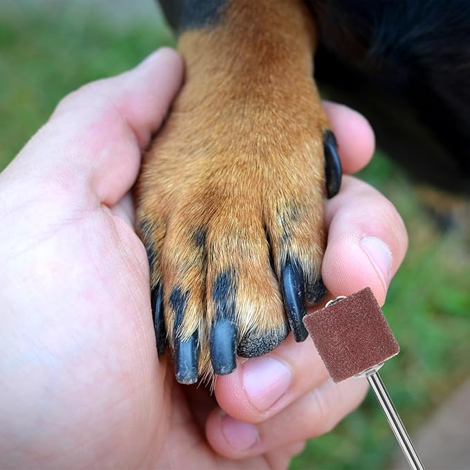33pcs Dog Nail Grinder Pet Nail Grinder for Dogs Replacement Kit Sanding Drum Set with Grit Sanding Bands Pet Nail Smoother Dog Claw Care Rotary Tool Kit Dog Claw Trimmer Tools (1/2 Inch 120 Grit)