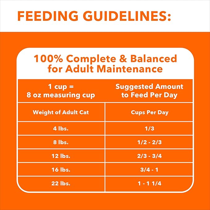 IAMS Proactive Health Adult Sensitive Digestion & Skin Dry Cat Food with Turkey, 6 lb. Bag