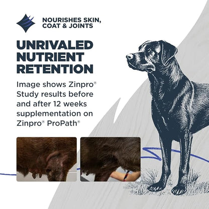 Blackwood Grain Free Dry Dog Food, Chicken & Field Pea Recipe, 4.5 Pound Bag for All Life Stages, Slow Cooked with Vitamins & Minerals for a Balanced Diet