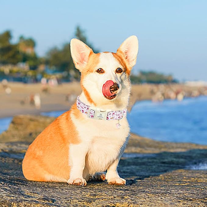 Lionheart glory Dog Collar Shark Pattern Dog Collar Pink Dog Collars Male or Female Spring Summer Cute Collar Pet Gift Durable Adjustable Dog Collar for Small Dogs