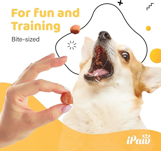 Dog Treats for Puppy Training, All Natural Human Grade Dog Treat, Hypoallergenic, Easy to Digest (Chicken Tots), 2 Packs