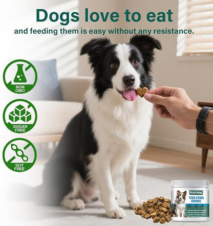 Tear Stain Chews for Dogs - Dog Tear Stain Remover & Supplement with Antioxidant Blend, Vitamin C, Lutein - 120ct Beef Flavor Soft Chews for Eye Health & White Fur Care (ND-038)