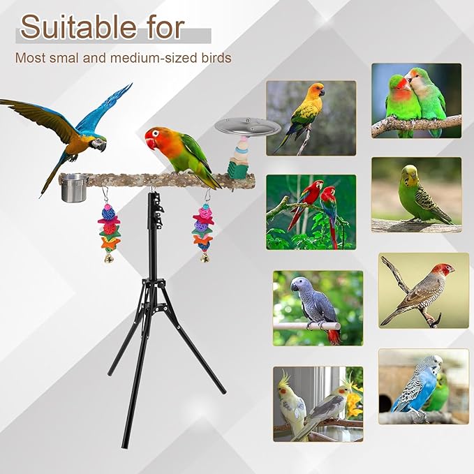 72" Parrot Stand, Adjustable Height Bird Perch, Pepper Wood Perch Stand, Parakeet Perches with Feeding Cups, Swing Toy, Toy Cymbals，Parrot Stands for Indoor & Outdoor Small to Medium Bird.
