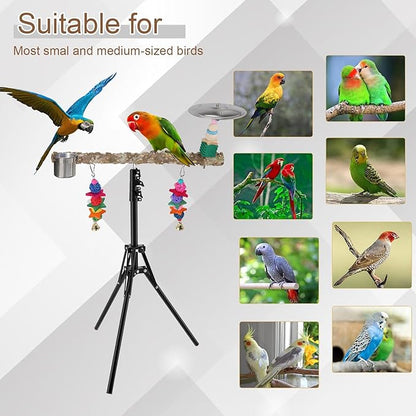 72" Parrot Stand, Adjustable Height Bird Perch, Pepper Wood Perch Stand, Parakeet Perches with Feeding Cups, Swing Toy, Toy Cymbals，Parrot Stands for Indoor & Outdoor Small to Medium Bird.