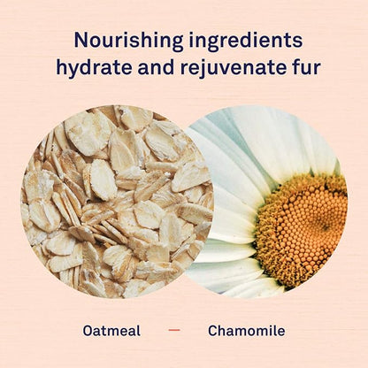 Petpost | Oatmeal & Chamomile Shampoo for Dogs with Dry Skin - Naturally Heals, Protects, Rejuvenates Dog Skin & Coat - Oatmeal, Chamomile, Aloe & Yucca Formula 16 oz.