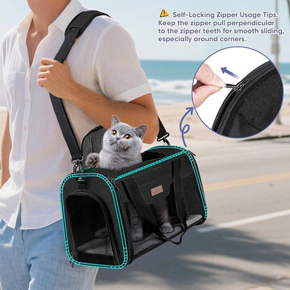 BALEINE Cat Carrier, Puppy Dog Carrier for Small Medium Pets Up to 15 Lbs, Soft-Sided Dog Travel Bag with Safety Zippers, Collapsible Pet Carrying Case (Black, L, 17"x11"x11")