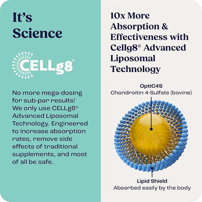 Summit Canine Joint and Mobility Supplement for Medium Dogs, All Natural Liquid Chondroitin, Liposomal Delivery for Arthritis, Hip & Joint Support Vitamin, (Dogs, 25-75lbs)