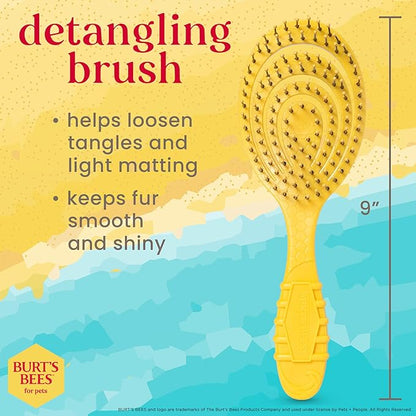 Burt_ Bees for Pets Detangling Pin Brush for Dogs with Medium to Long Hair with Handle Made from Recycled Plastics Collected from Coastal Communities | Dog Brush Removes Tangles and Loosens Matting