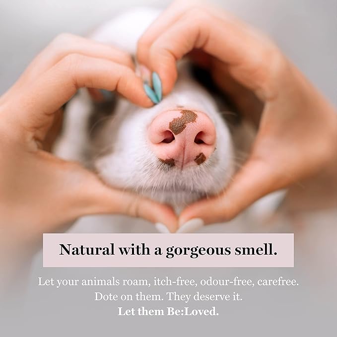 Be:Calm Calming Dog Shampoo Bar – 110g – Natural Formula with Goat Milk, Lavender & Chamomile – Soothes Skin & Conditions Coat – Long-Lasting Bar – Approx. 30 Washes