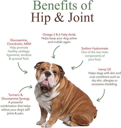 Veterinary Naturals Hip & Joint Supplement for Dogs - 60 Soft Dog Chews for Hip & Joint Support - Dog Vitamins and Supplements with Glucosamine for Dogs & MSM - Grain-Free, Roasted Chicken Flavor