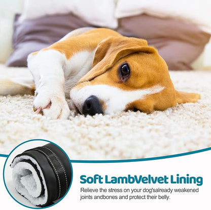 20-130 lbs Dog Lift Harness for Large Dogs, Dog Sling for Large Dogs Hind Leg Support, Dog Support Harness for Back Legs, Help Lift Rear for Canine, Up and Down Stairs, Canine Aid (Medium) Black